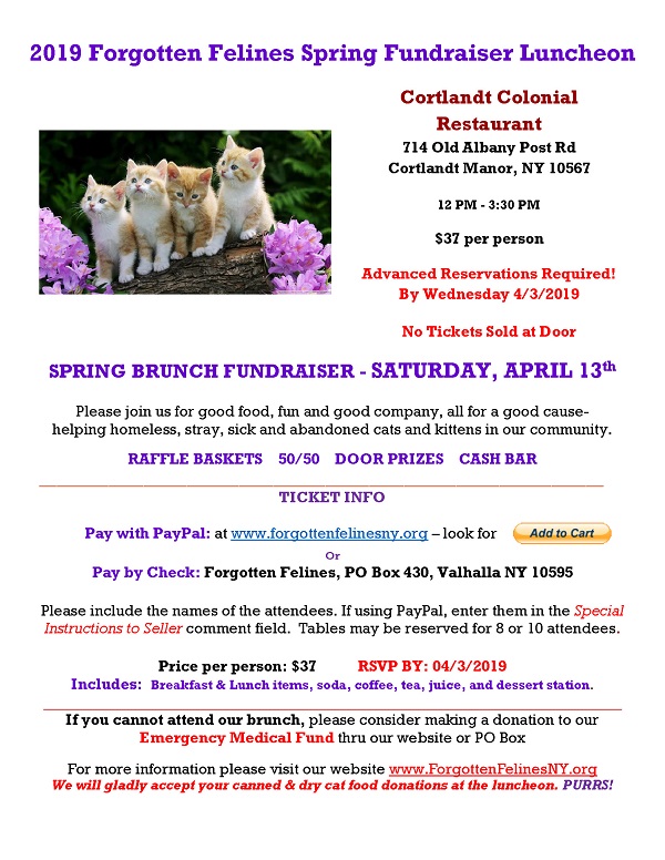 Spring Luncheon 2019